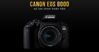 Đánh giá máy ảnh Canon 800D: Sự lựa chọn hoàn hảo