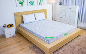 Đánh giá nệm Tatana có chất lượng không, giá bao nhiêu, mua ở đâu