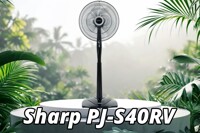 Đánh giá quạt đứng Sharp PJ-S40RV - Giá trị nhiều hơn giá bán