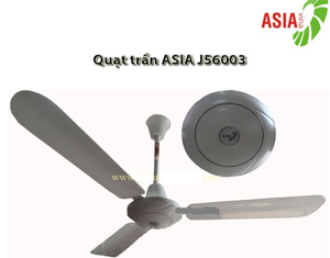 Đánh giá quạt trần Asia J56003 chính hãng
