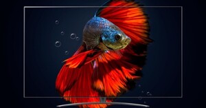 Đánh giá smart tivi NanoCell LG 75 inch 4K 75NANO75SQA