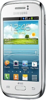 Đánh giá toàn bộ về Samsung Galaxy Young S6310 (Phần 2)