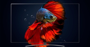 Đánh giá tổng quan chiếc Smart Tivi NanoCell LG 4K 65 inch 65NANO86TPA