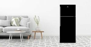 Đánh giá tủ lạnh Electrolux ETB4600B-H có tốt không? Giá bao nhiêu?