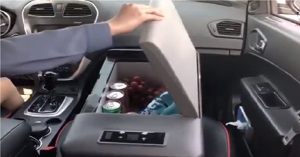 Đánh giá tủ lạnh mini Alpicool dùng trên ô tô có tốt không? Các loại và giá cả chi tiết