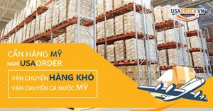 Đặt Hàng từ Mỹ về Việt Nam, Dịch vụ Thông quan hàng hóa uy tín