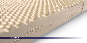 Địa chỉ mua nệm Liên Á chính hãng ở đâu ?