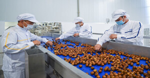 Điều hòa Daikin FBA140BVMA9/RZF140CYM có phù hợp lắp cho nhà máy chế biến nông sản?