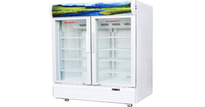 Giá tủ mát hiện nay trên thị trường bao nhiêu? Loại nào rẻ và chất lượng?