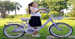 Giá xe đạp cho học sinh cấp 2 khoảng bao nhiêu tiền? TOP 4 lựa chọn tốt nhất