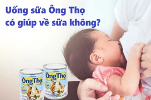 Giải đáp: Mẹ sau sinh uống sữa ông thọ có nhiều sữa không?