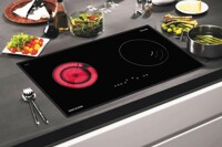 Giới thiệu 5 sản phẩm bếp điện từ D'mestik có giá từ 13 triệu đồng