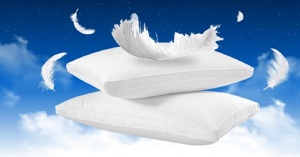 Gối lông vũ là gì? Có những loại nào? Mua ở đâu tốt?