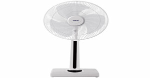 Gợi ý top 5 quạt cây Hatari đáng đồng tiền bát gạo để sở hữu