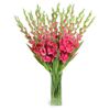 Hướng dẫn cách cắm hoa lay ơn từ A đến Z cho Tết thêm sung túc
