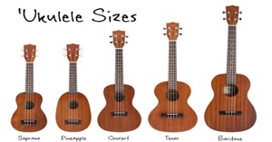 Khám phá những điều thú vị về cây đàn Ukulele thần thánh