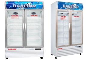 Khám phá ưu nhược điểm của tủ mát Darling 2 cánh 830 lít DL-9000A