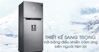 Khi mua tủ lạnh Samsung RT46K6836SL/SV 451 lít bạn cần chú ý 5 điều này