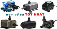 Kinh nghiệm chọn máy bơm nước hồ cá phù hợp nhất