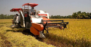 Kinh nghiệm mua máy gặt đập liên hợp cũ-mới tốt nhất để vụ lúa 2019, 2020 bội thu