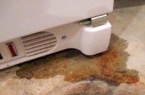 Làm gì khi tủ lạnh Toshiba bị chảy nước dưới sàn nhà
