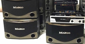 Loa Maingo của nước nào? Chất lượng ra sao và có sản phẩm nào nổi bật?