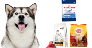 Loại thức ăn khô tốt nhất dành cho chó Alaska