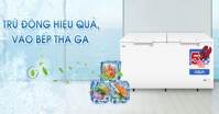 Mách bạn kinh nghiệm lựa chọn tủ đông loại nào tốt nhất