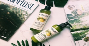 Nên chọn dầu gội ngăn rụng tóc loại nào thì tốt?