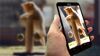 Nên mua BlackBerry Passport hay Asus Zenfone 2?