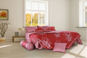 Nên mua chăn ga gối đệm cưới hãng nào: Vikosan Everon Hanvico Cuscino