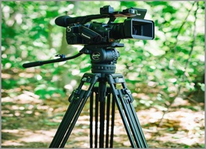 Nên mua chân máy ảnh loại nào tốt: Benro, Coman, Gizomos, Manfrotto?