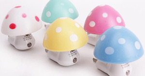 Nên mua đèn ngủ cảm ứng hình nấm không ? giá bao nhiêu ?