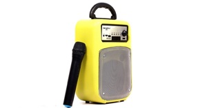 Nên mua loa kéo di động nào?