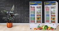 Nên mua loại tủ mát nào tốt nhất hiện nay?