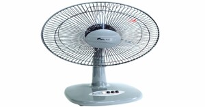 Nên mua quạt cây Chinghai loại nào tốt để sử dụng?