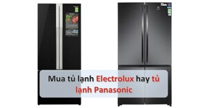 Nên mua tủ lạnh Panasonic hay Electrolux cho gia đình?