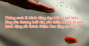 Người thả, kẻ chờ vớt: Liệu cá chép có thể đưa các Táo lên chầu Trời ?