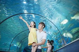 Những địa điểm vui chơi lý tưởng cho bé trong dịp 1/6