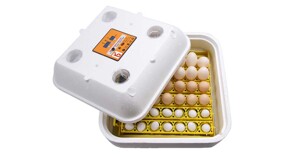 Những điều cần lưu ý khi mua máy ấp trứng chim bồ câu