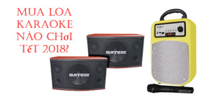 Những loa karaoke hát hay, giá chỉ dưới 5 triệu đồng chơi Tết