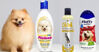 Những loại sữa tắm cho chó lông xù được nhiều người sử dụng nhất