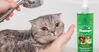 Những loại sữa tắm trị bọ chét cho mèo tốt và an toàn nhất
