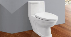 Những mẫu bồn cầu 1 khối giá rẻ đáng mua nhất