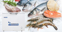Những mẫu tủ đông Hòa Phát 500l mới nhất 2022