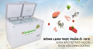 Những thông tin cần biết trước khi mua tủ đông Kangaroo KG298VC2 280 Lít
