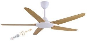 Những thông tin về quạt trần Asia mà bạn nên biết