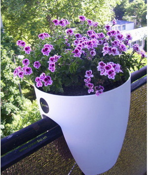 Những ý tưởng quà tặng 8/3 thú vị cho vợ mới cưới