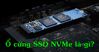 Ổ SSD NVMe là gì? Có nên mua ổ cứng SSD NVMe hay không?
