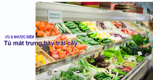 Phân tích ưu nhược điểm các loại tủ mát trưng bày trái cây?